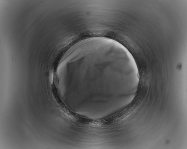 X0000098190076200805151215