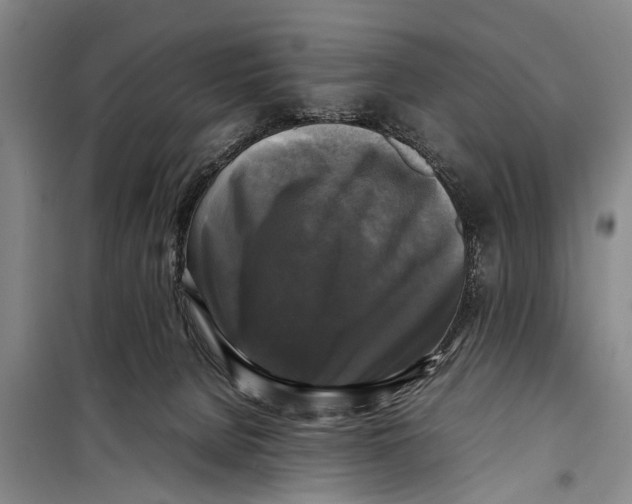 X0000098190080200805151215