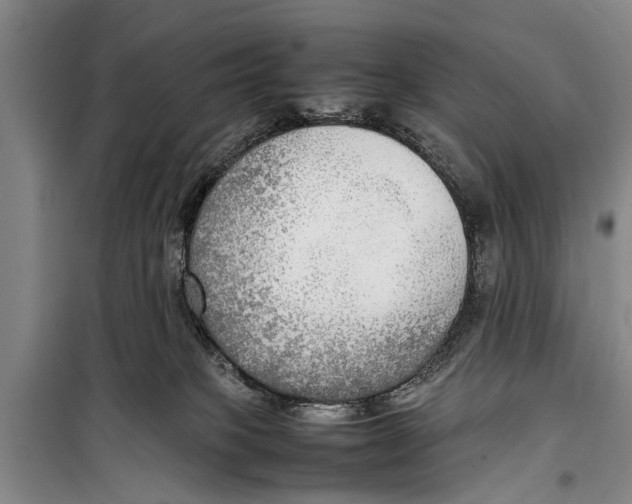 X0000098190085200805151215