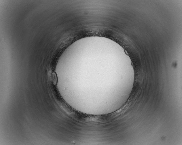 X0000098190086200805151215