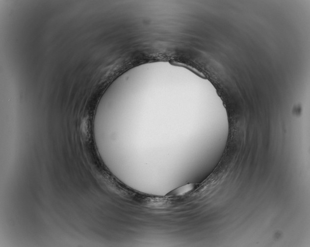 X0000098190088200805151215