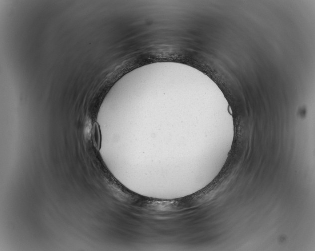 X0000098190089200805151215