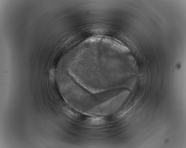 X0000098190093200805151215