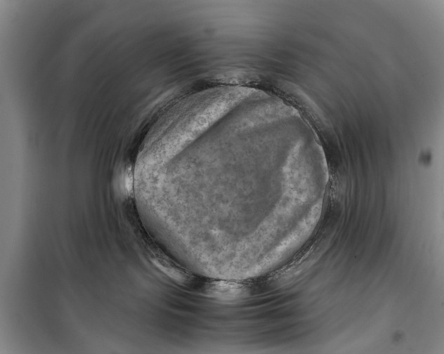 X0000098190095200805151215