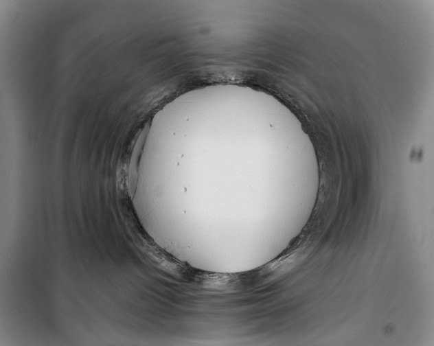 X0000098190096200805151215