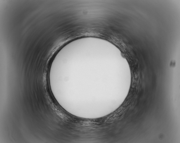 X0000098190098200805151214