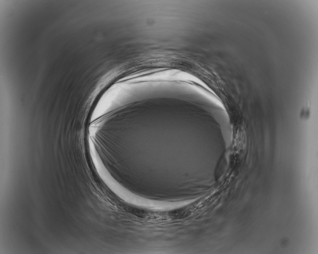 X0000098190099200805151214