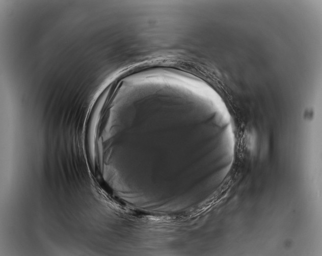 X0000098190100200805151214