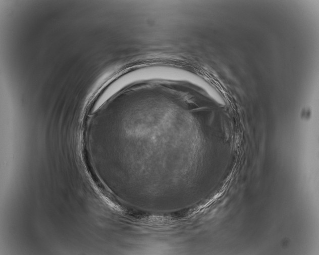 X0000098190101200805151214