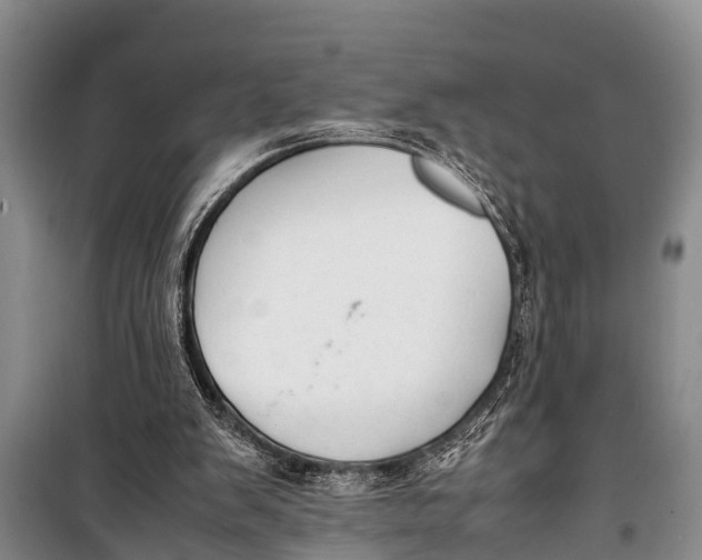X0000098190103200805151214