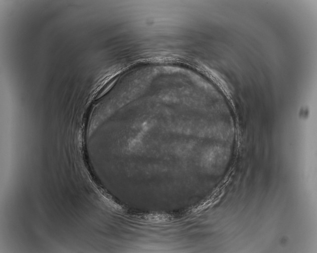 X0000098190105200805151214