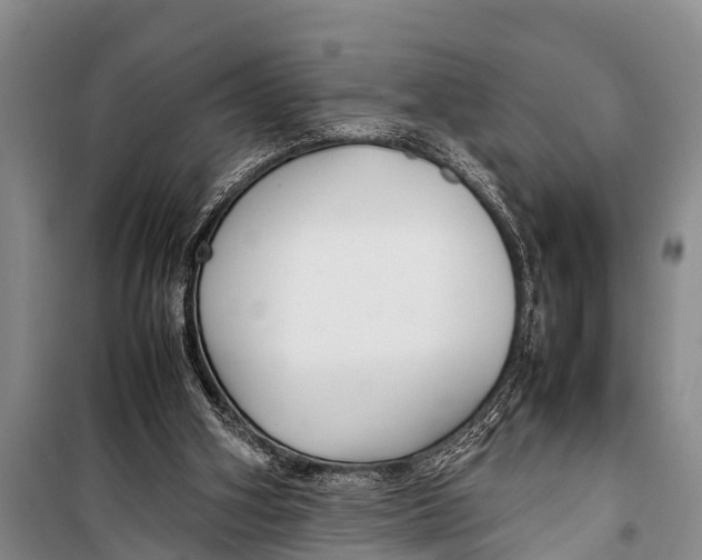 X0000098190106200805151214