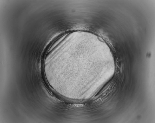 X0000098190108200805151214