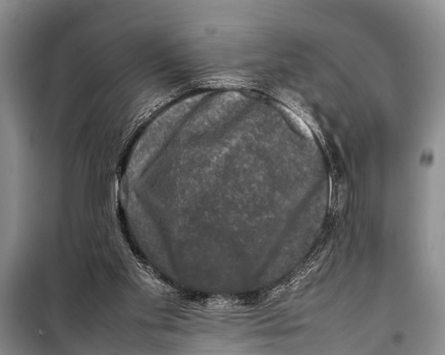 X0000098190109200805151214