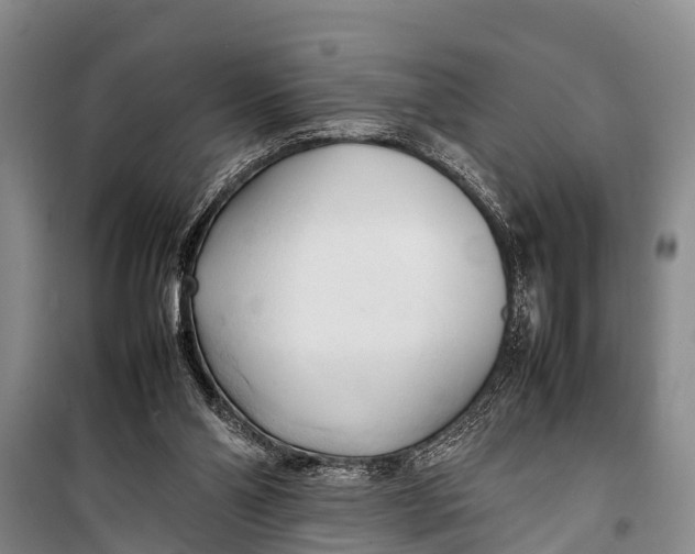 X0000098190110200805151214