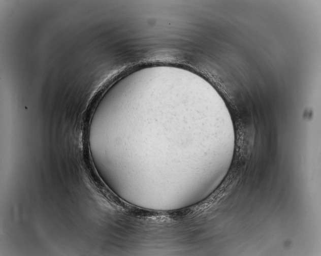 X0000098190112200805151214