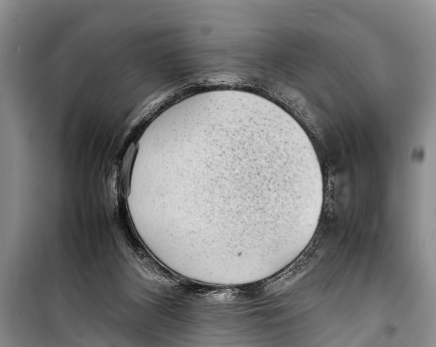X0000098190116200805151214