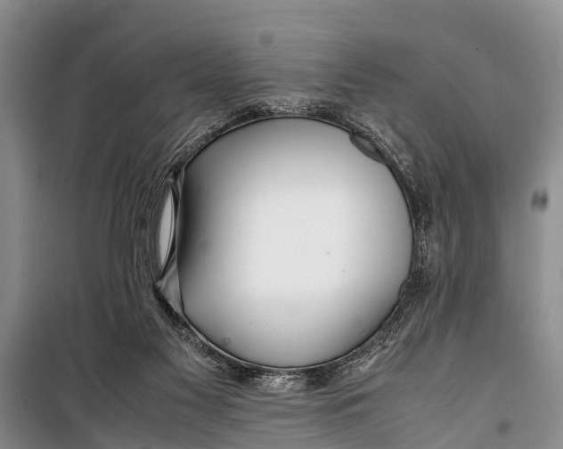 X0000098190117200805151214