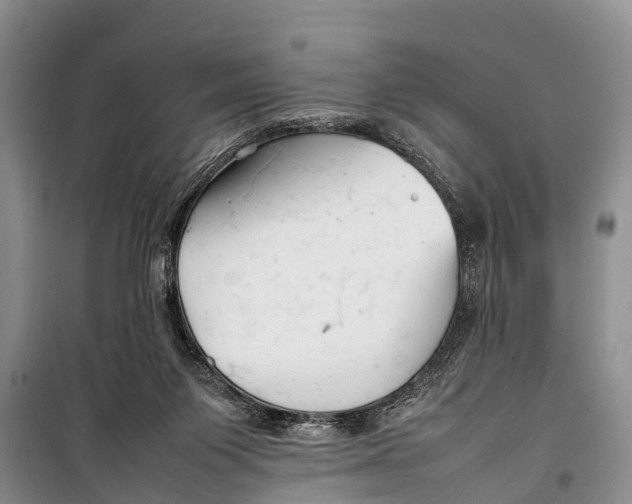 X0000098190119200805151214