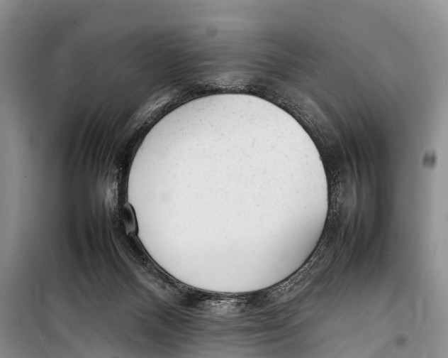 X0000098190120200805151214