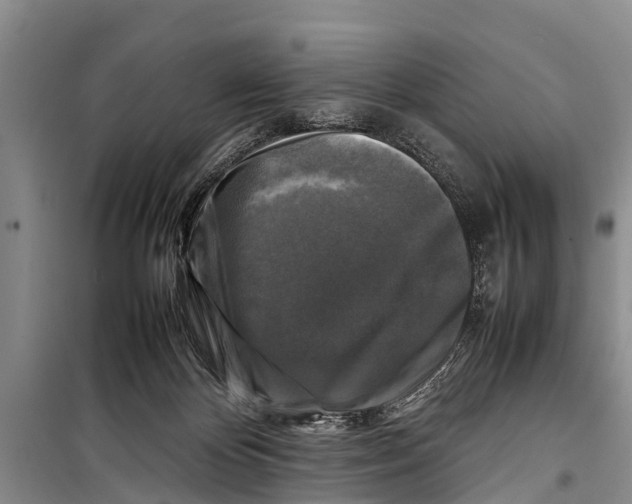 X0000098190124200805151214