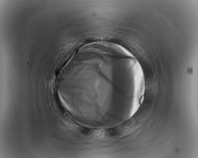 X0000098190127200805151214