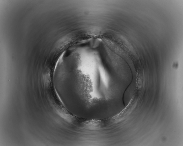 X0000098190128200805151214