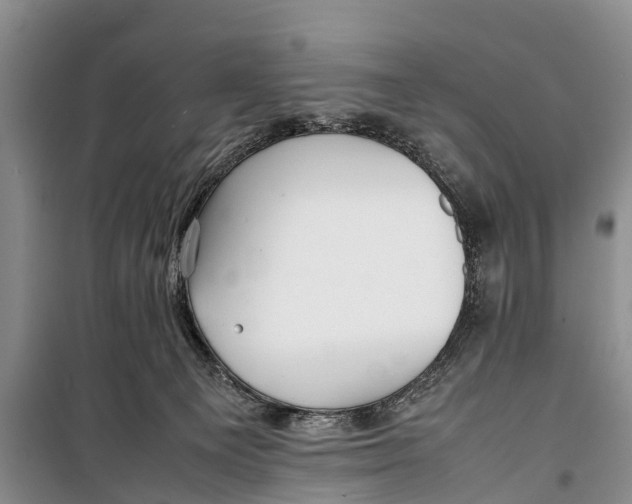 X0000098190129200805151214