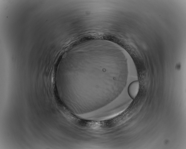 X0000098190131200805151214