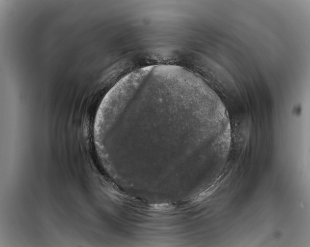 X0000098190132200805151214