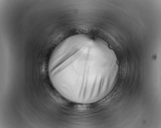 X0000098190134200805151214