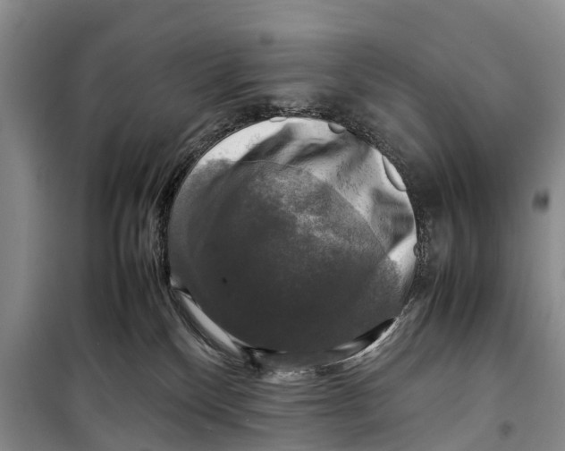 X0000098190136200805151214