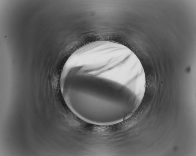 X0000098190139200805151214