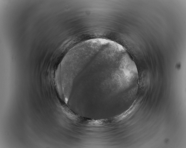 X0000098190140200805151214