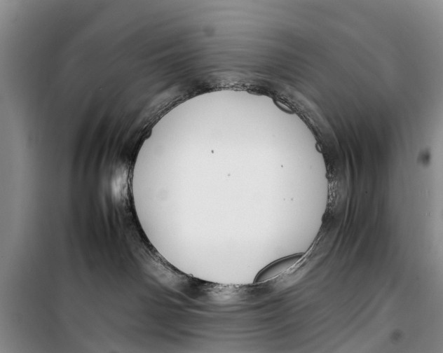 X0000098190142200805151214