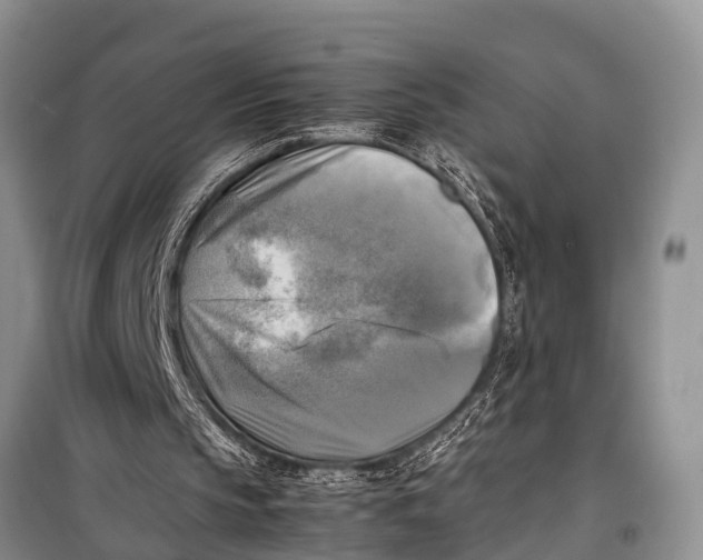 X0000098190145200805151213