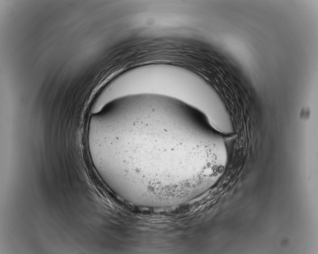 X0000098190146200805151213