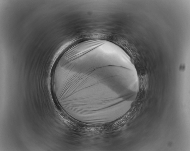 X0000098190147200805151213