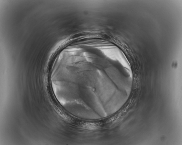 X0000098190149200805151213