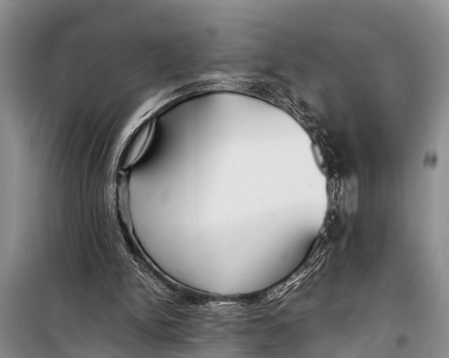 X0000098190150200805151213