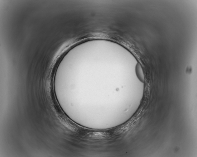 X0000098190151200805151213