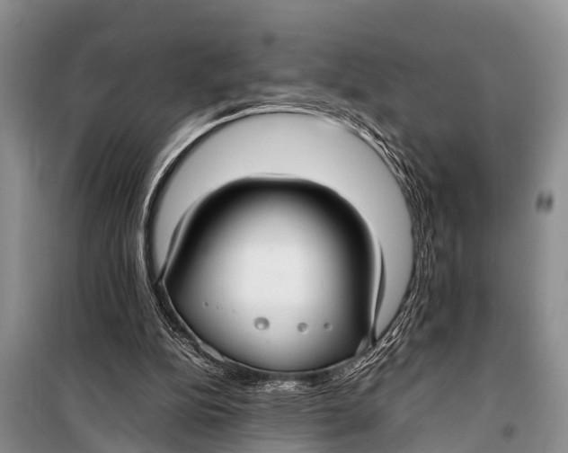 X0000098190152200805151213