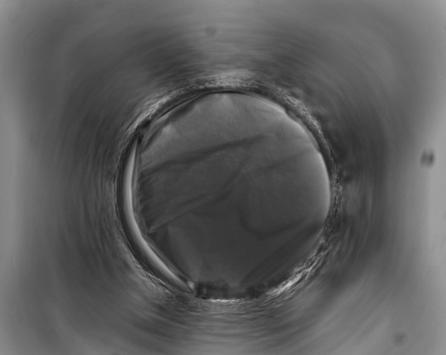 X0000098190154200805151213