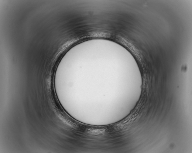 X0000098190155200805151213