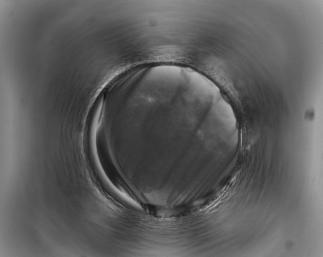 X0000098190156200805151213