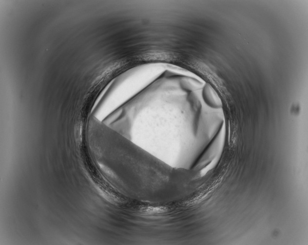 X0000098190157200805151213