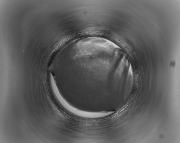 X0000098190158200805151213