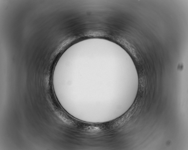 X0000098190159200805151213