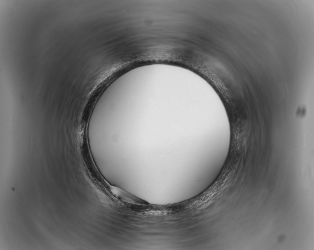 X0000098190160200805151213