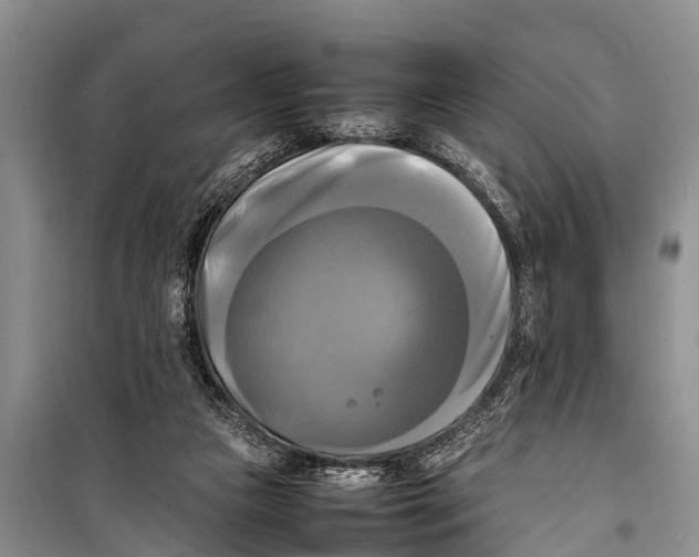 X0000098190161200805151213